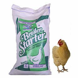 SMJESA PANTO BROILEG.STARTER 25L
