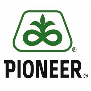PIONEER SOJA PR92B63 23KG